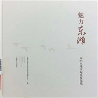 魅力东滩——崇明东滩国际重要湿地