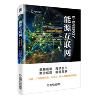 能源互联网：德国实践路线图