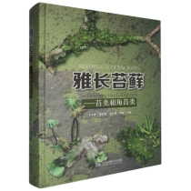 雅长苔藓：苔类和角苔类