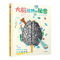 大脑运转的秘密