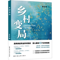 乡村变局