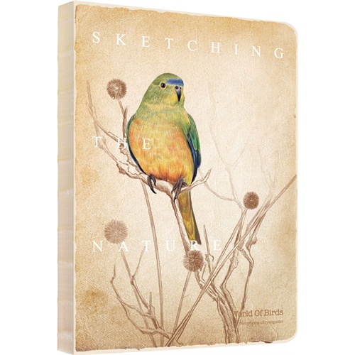 飞乐鸟彩铅涂鸦本-鸟之绘